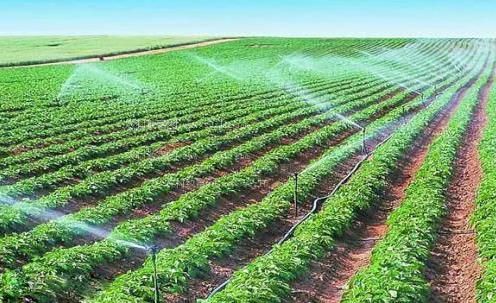 狠插老骚屄视频农田高 效节水灌溉